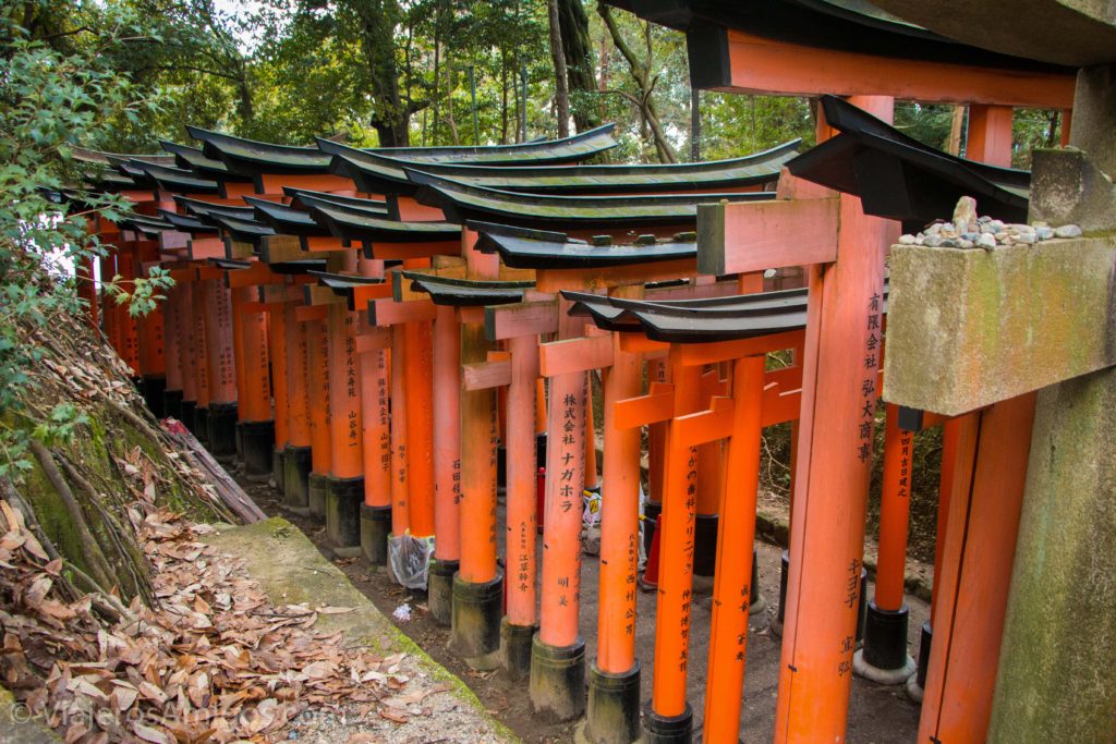 fushimi inari torii gates above 1