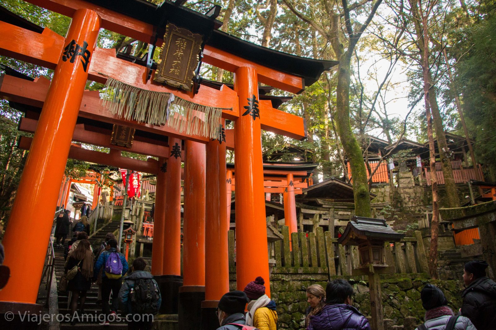 fushimi inari torii gates panorama