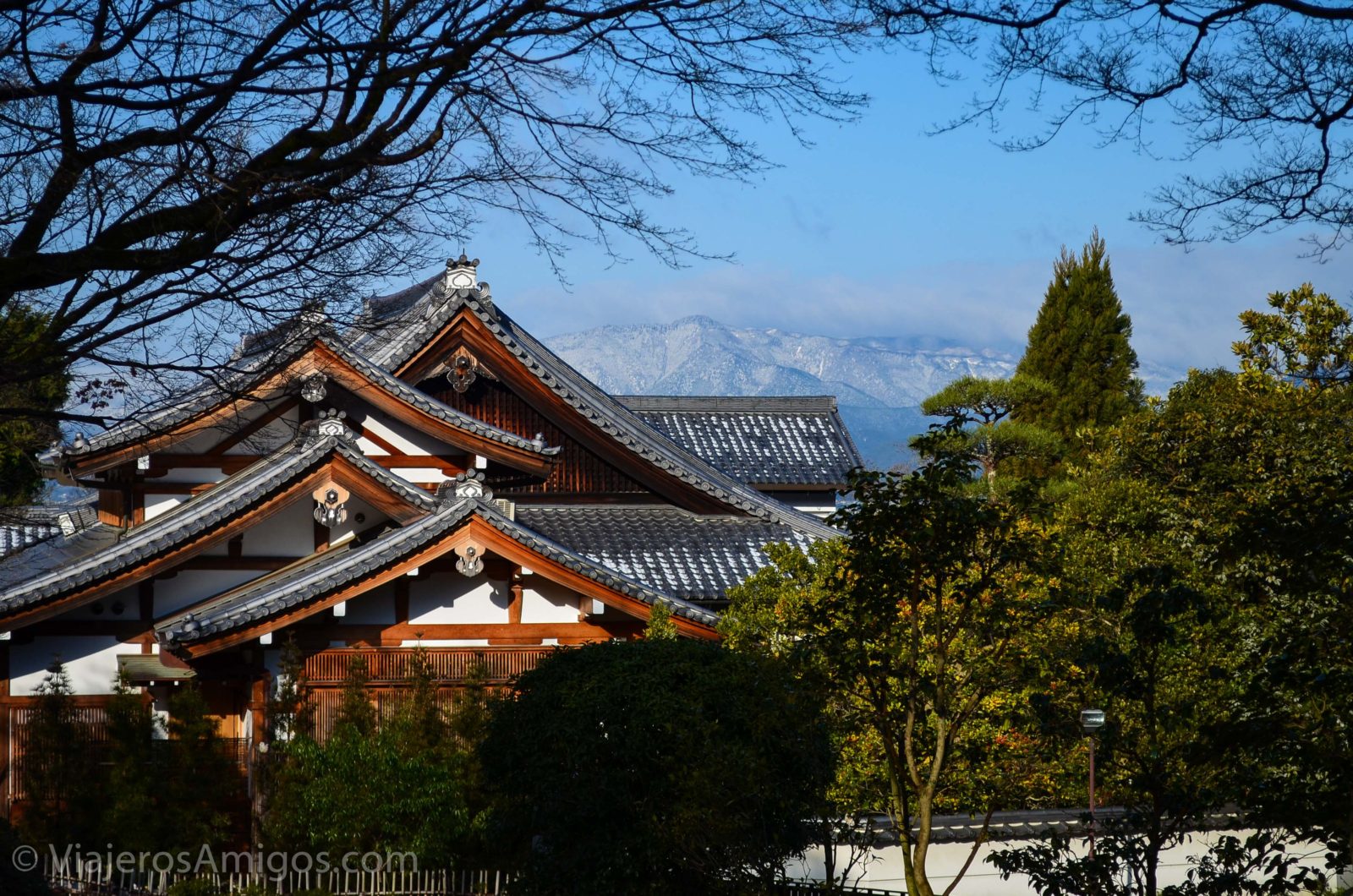 kyoto kiyomizu-dera skyline