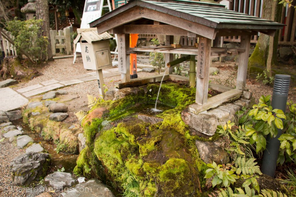 kyoto maruyama park shrine