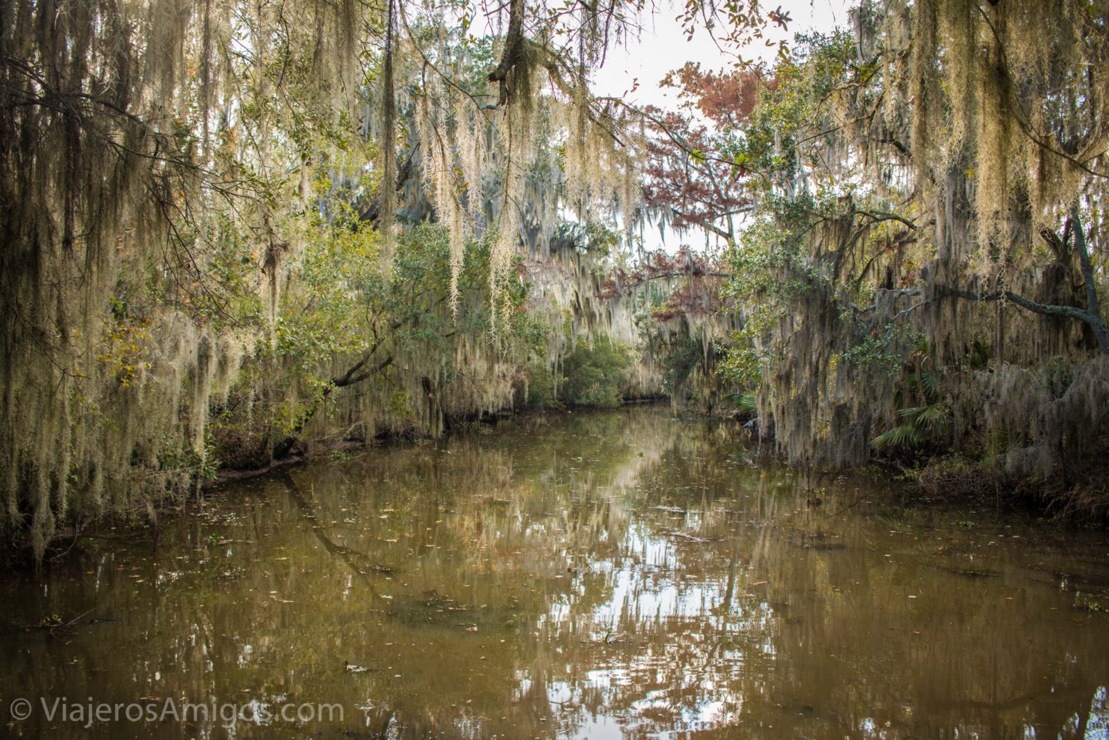 bayou tour